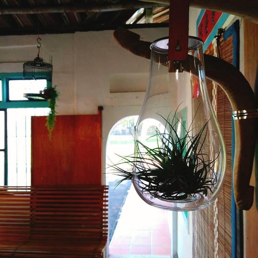 香蕉與黑膠 Yellow And Black Guest House Mei-nung Exterior foto